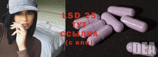 ПСИЛОЦИБИНОВЫЕ ГРИБЫ Белокуриха