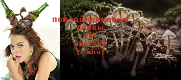 трава Белоозёрский