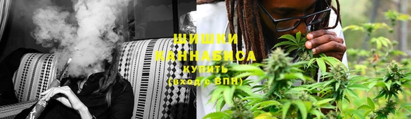 ПСИЛОЦИБИНОВЫЕ ГРИБЫ Белокуриха
