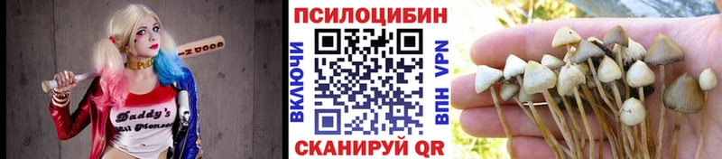 kraken маркетплейс  Кириши  Псилоцибиновые грибы ЛСД 
